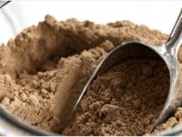 Eating Crickets, Climate Change and the Future of Islamic Law