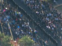 Protesting Islam—American Style