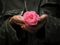 Petals to the Metal