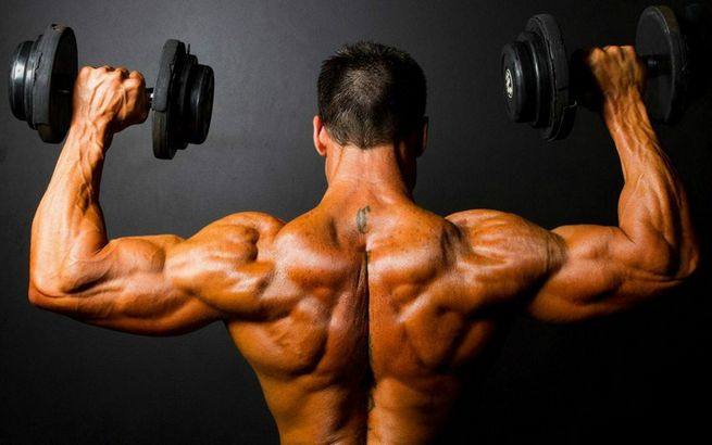 Undecanoato de Testosterona: Curso y Beneficios Undecanoato de Testosterona: Curso y Beneficios